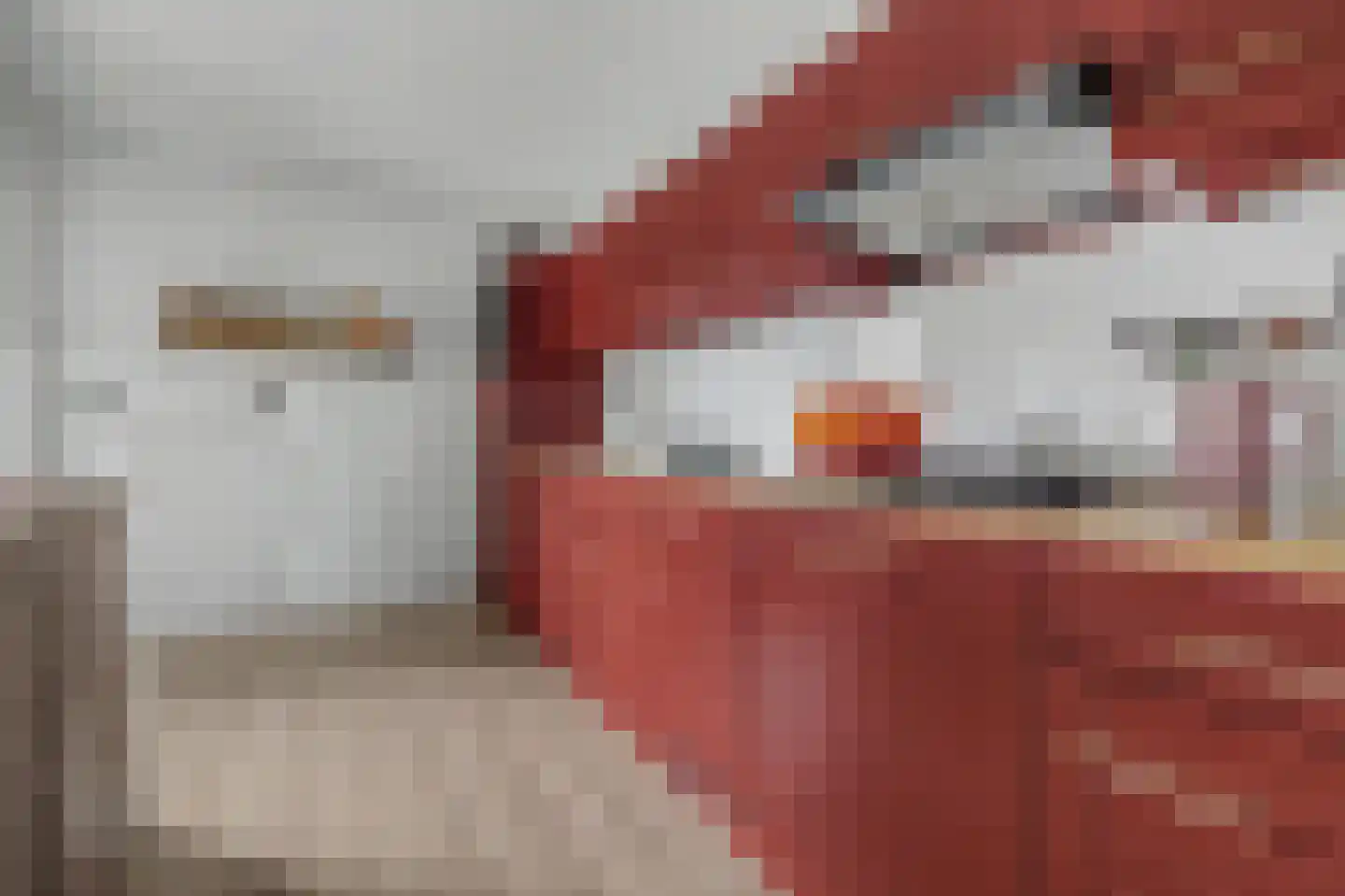 Irenelaan 28 Vlijmen thumbnail 13