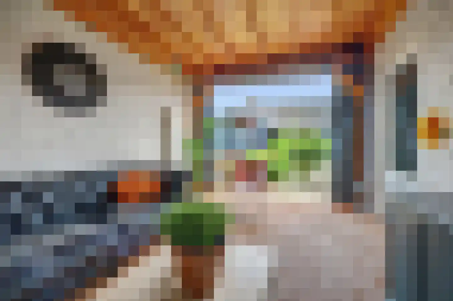 Irenelaan 28 Vlijmen thumbnail 17