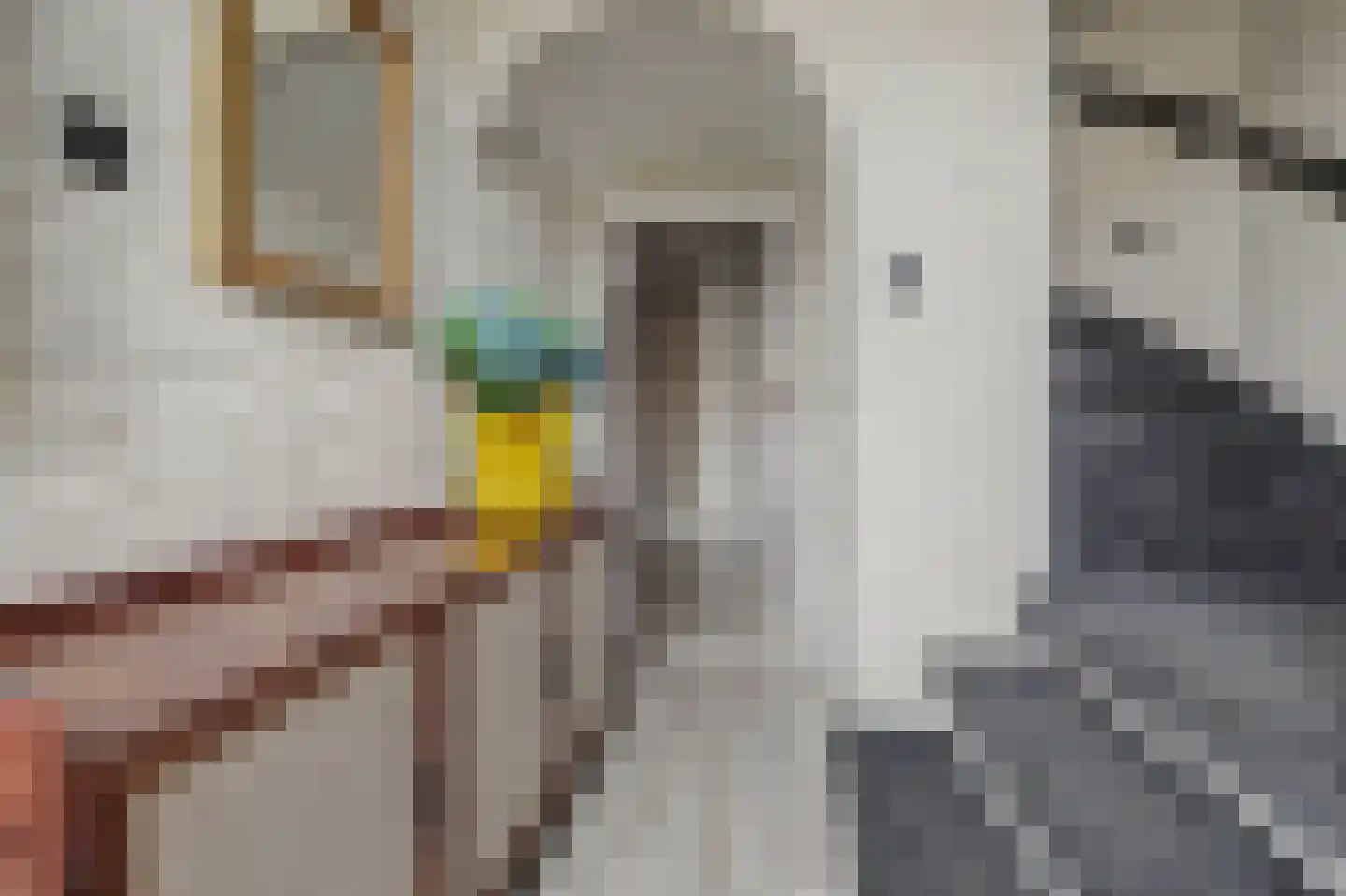 Irenelaan 28 Vlijmen thumbnail 19