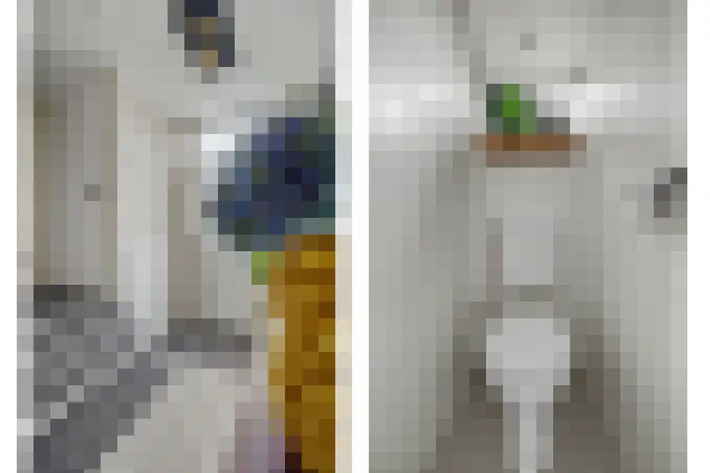 Irenelaan 28 Vlijmen thumbnail 20