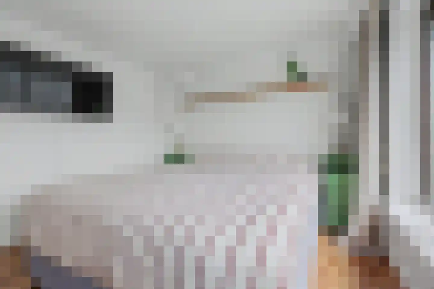 Irenelaan 28 Vlijmen thumbnail 23