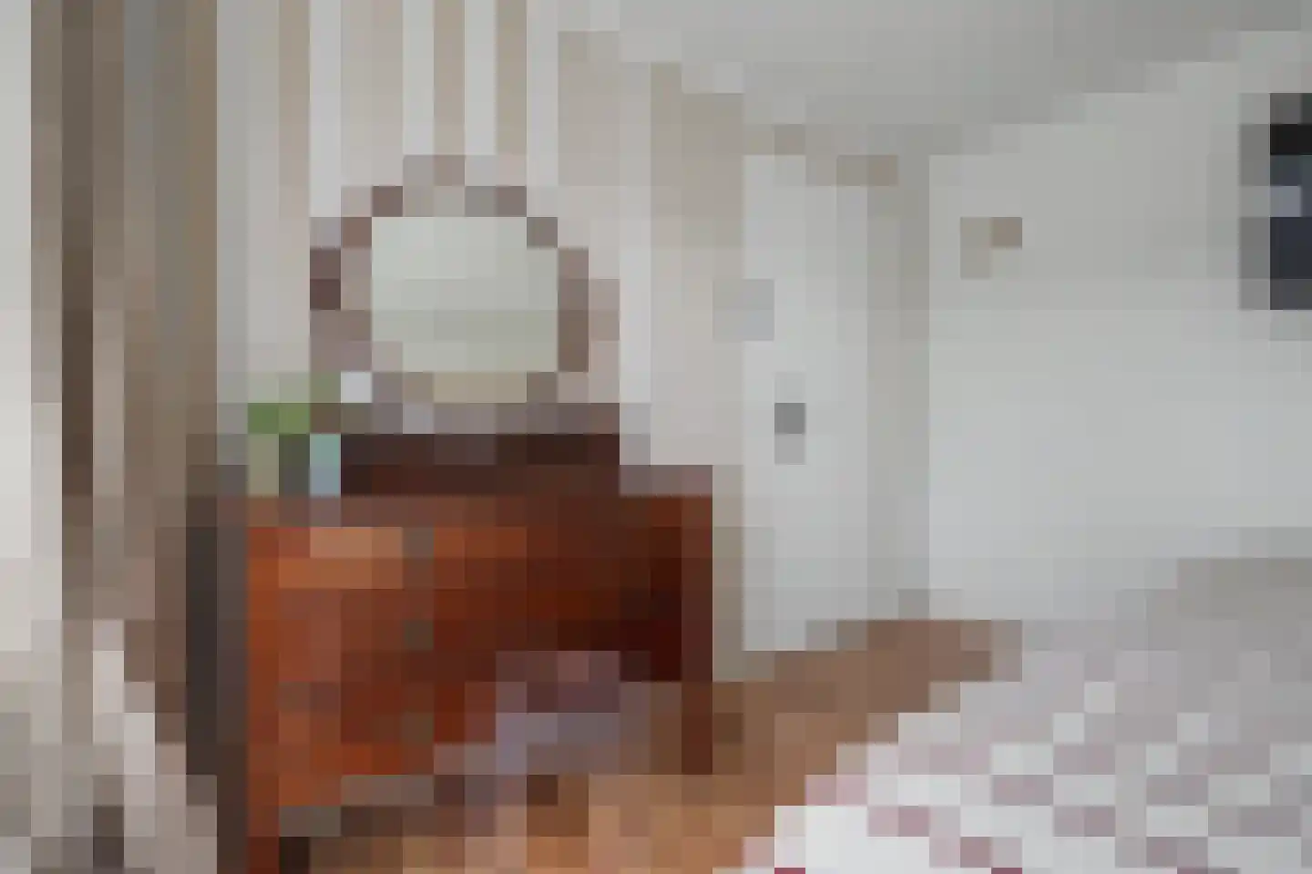 Irenelaan 28 Vlijmen thumbnail 24