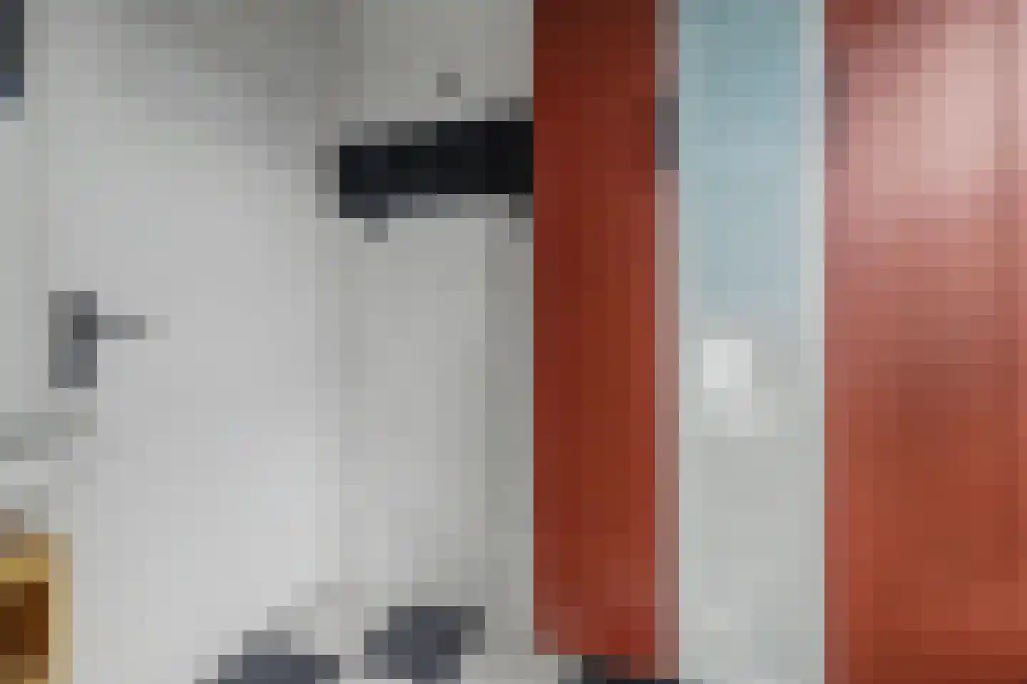 Irenelaan 28 Vlijmen thumbnail 29