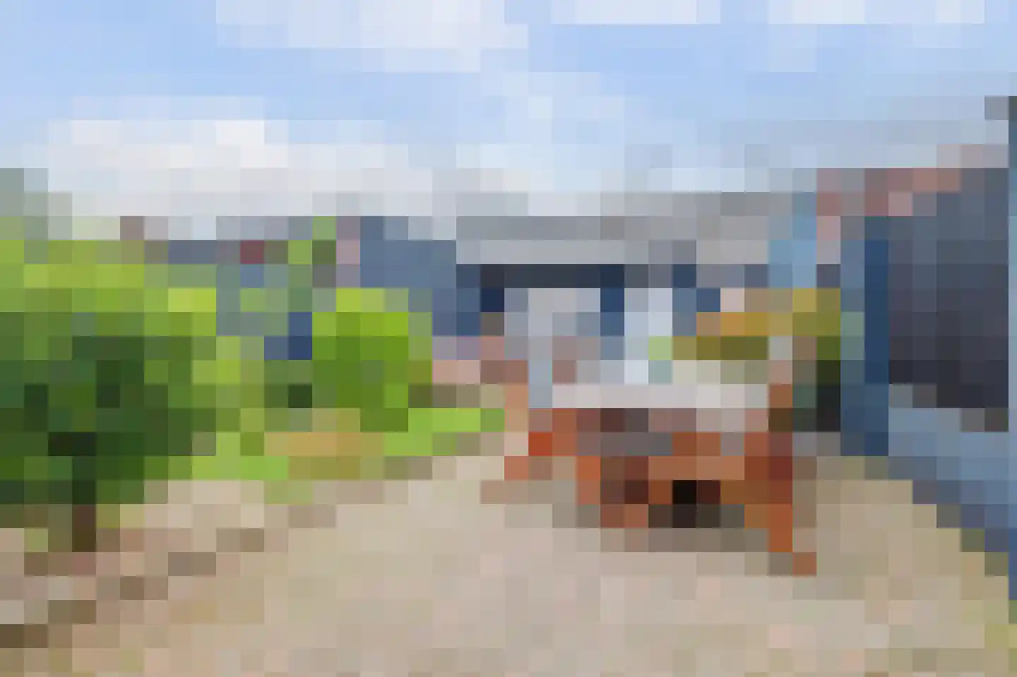 Irenelaan 28 Vlijmen thumbnail 35