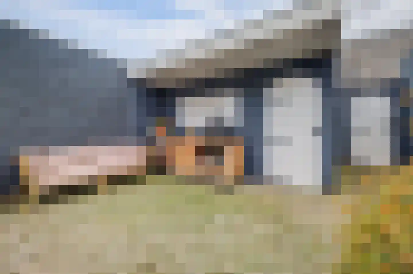 Irenelaan 28 Vlijmen thumbnail 36