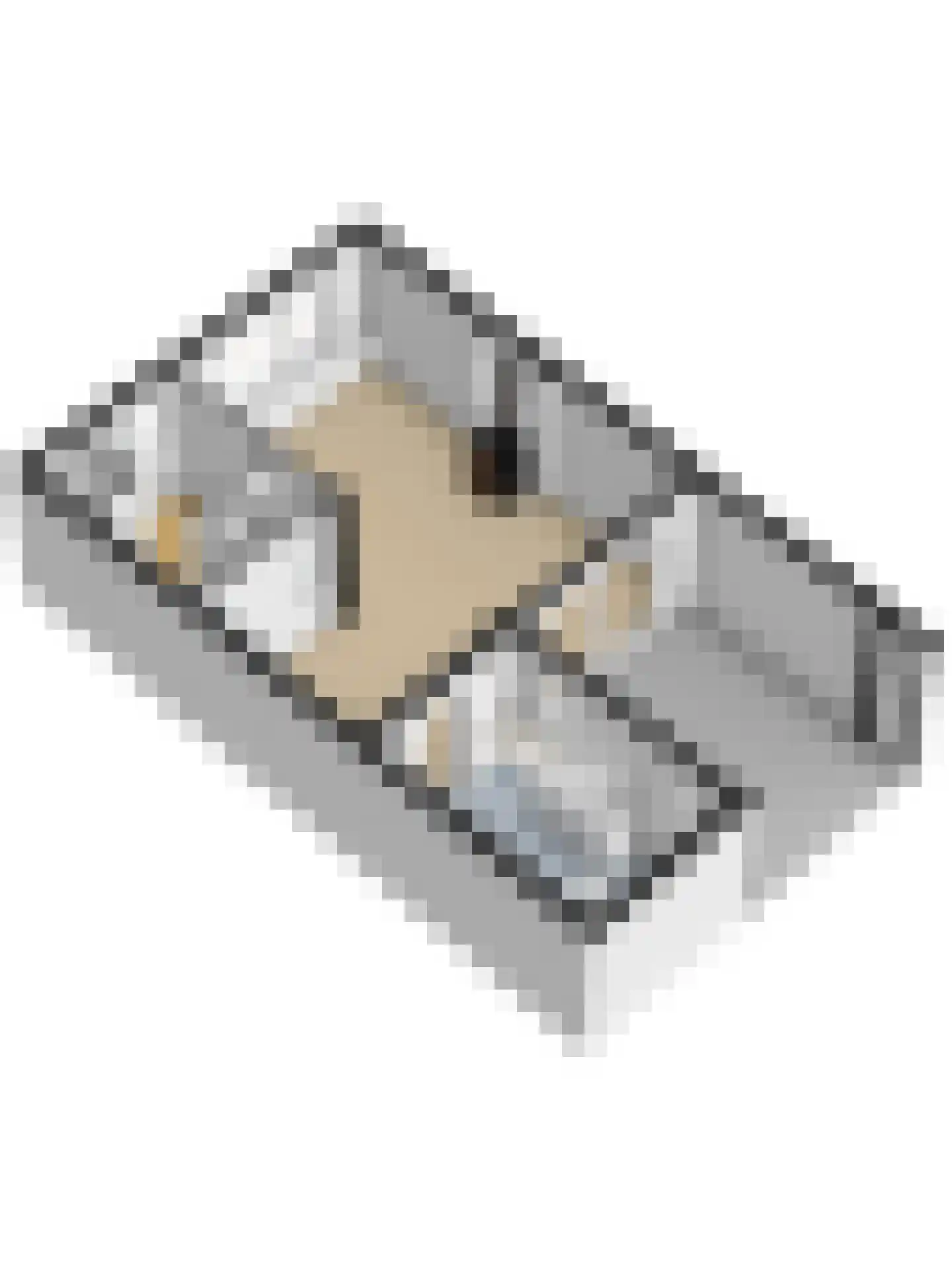 Irenelaan 28 Vlijmen thumbnail 48