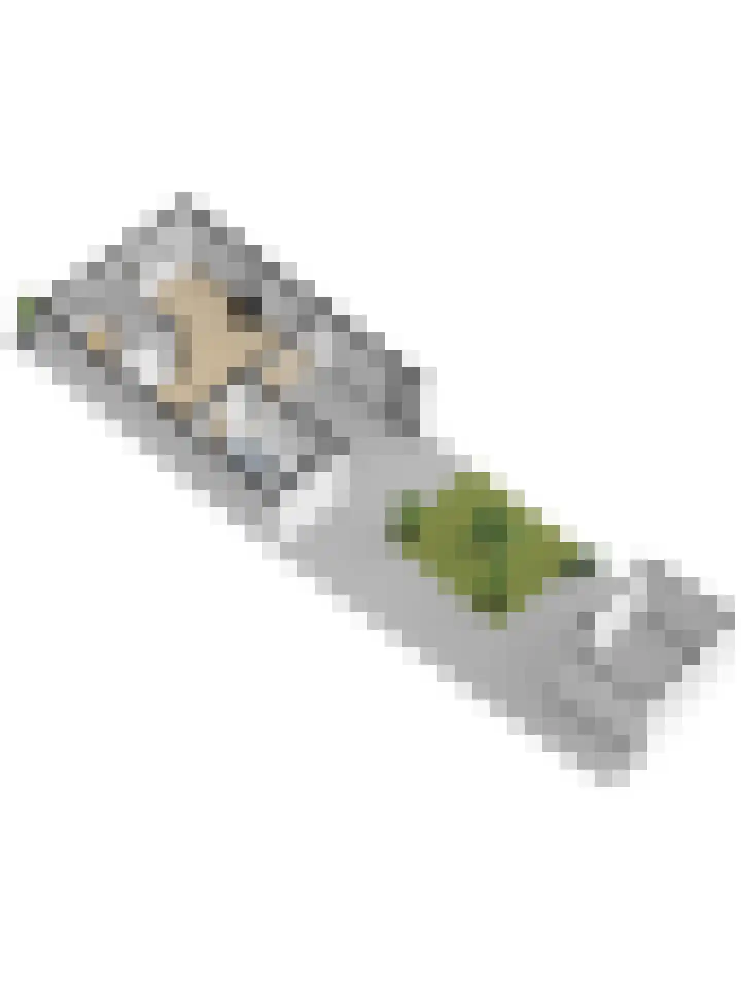 Irenelaan 28 Vlijmen thumbnail 54