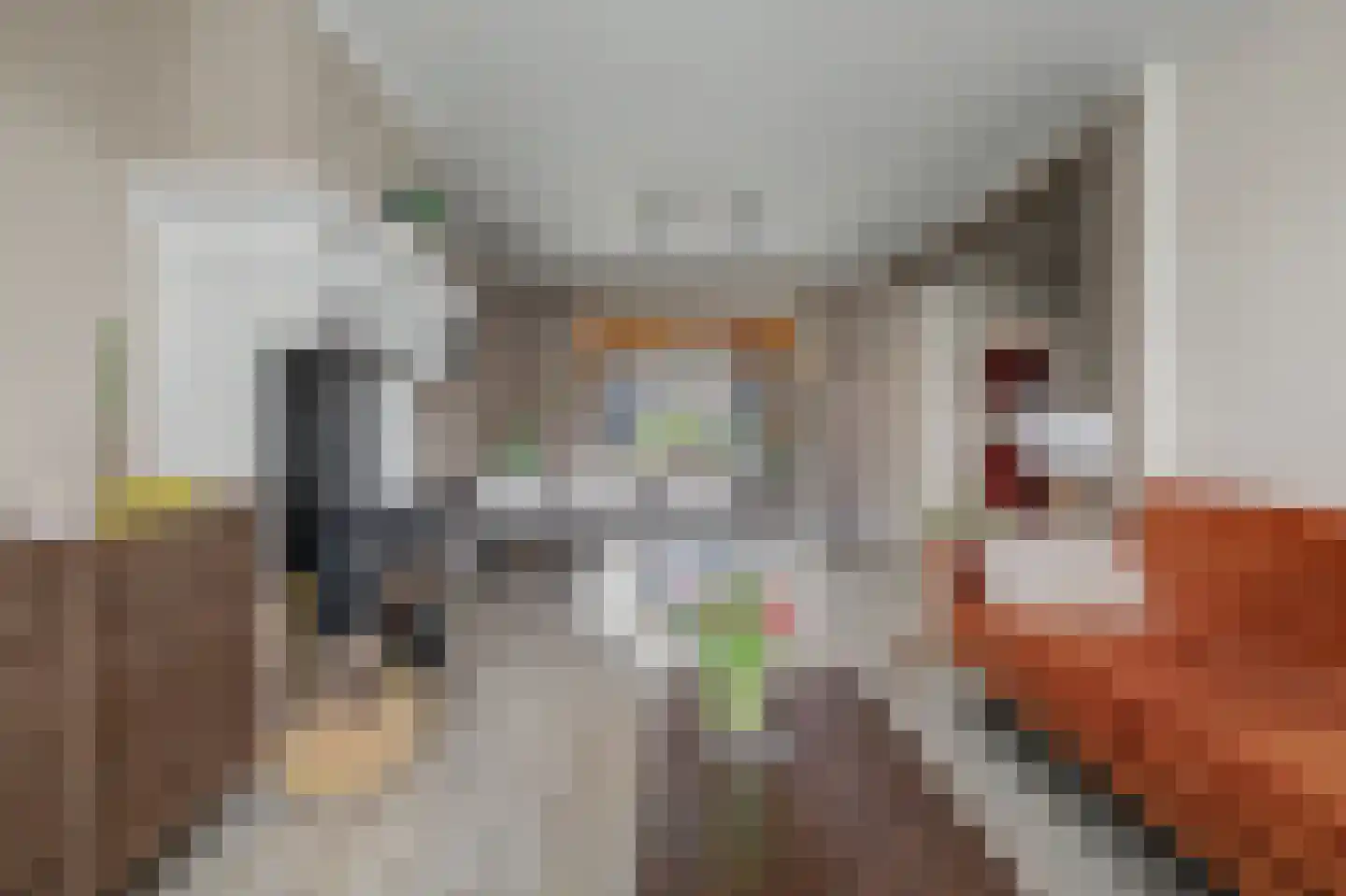 Irenelaan 28 Vlijmen thumbnail 6