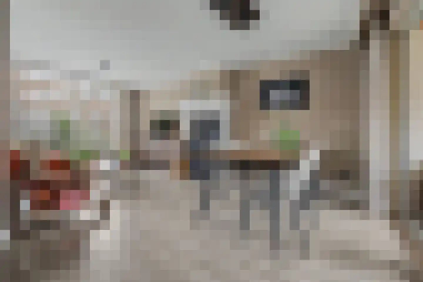 Irenelaan 28 Vlijmen thumbnail 8