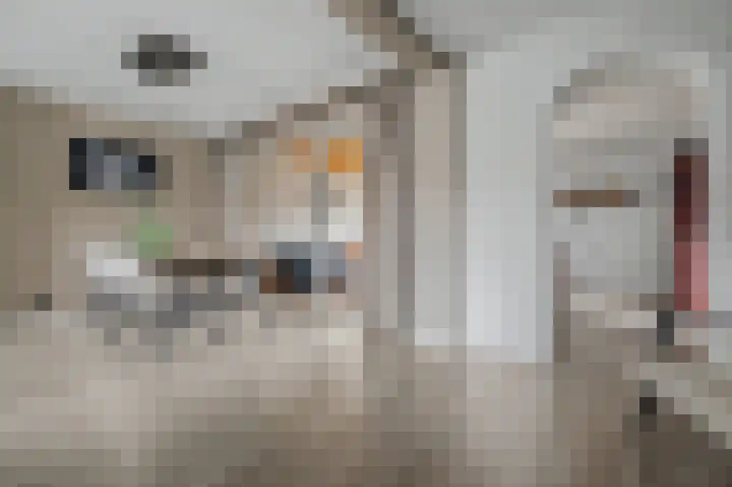 Irenelaan 28 Vlijmen thumbnail 9