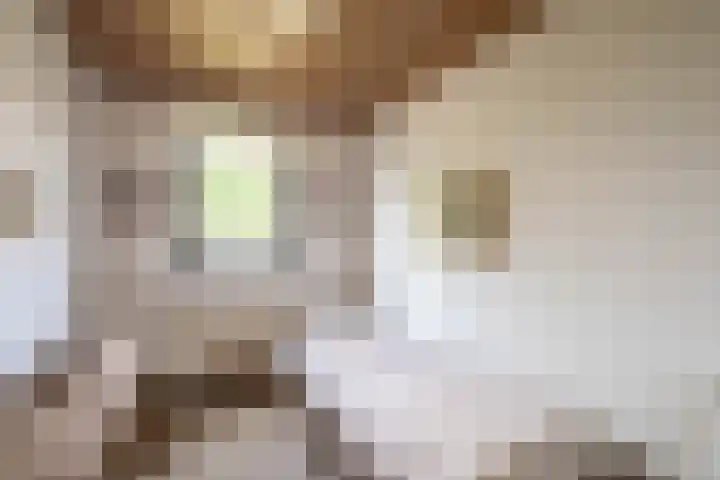 Irenelaan 3 Berghem thumbnail 18