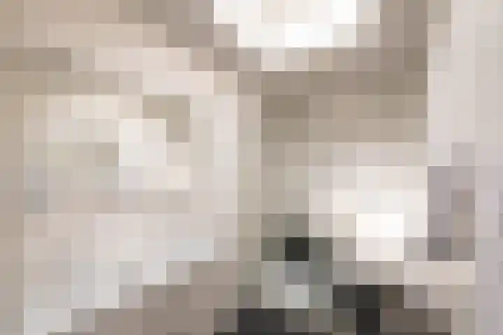Irenelaan 3 Berghem thumbnail 19