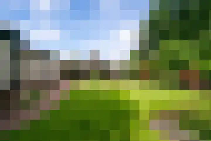 Irenelaan 3 Berghem thumbnail 22