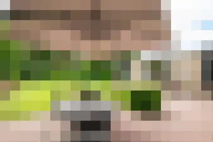Irenelaan 3 Berghem thumbnail 23