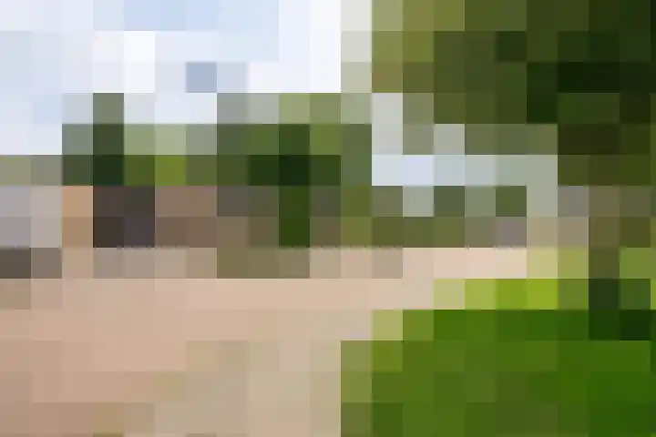 Irenelaan 3 Berghem thumbnail 27
