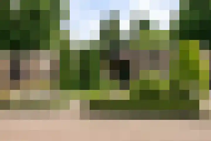 Irenelaan 3 Berghem thumbnail 5