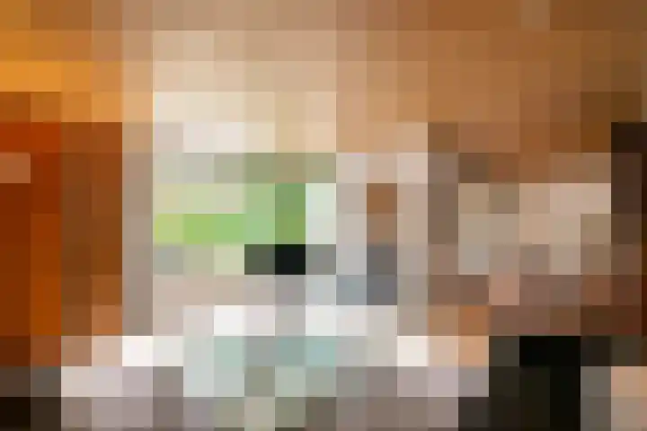 Irenelaan 3 Berghem thumbnail 9