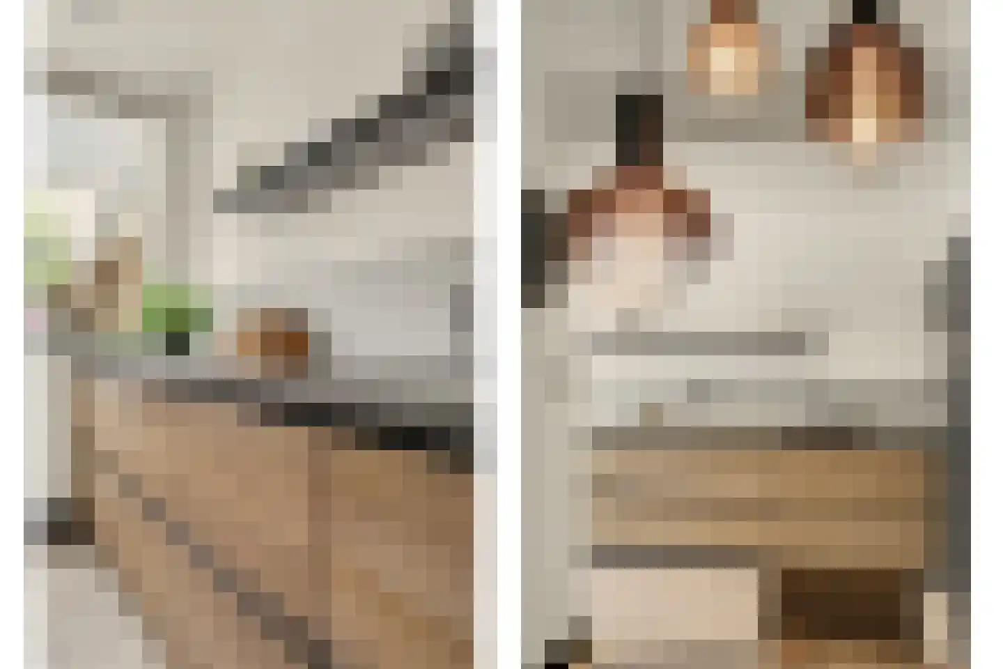 Irenelaan 3 Bladel thumbnail 18