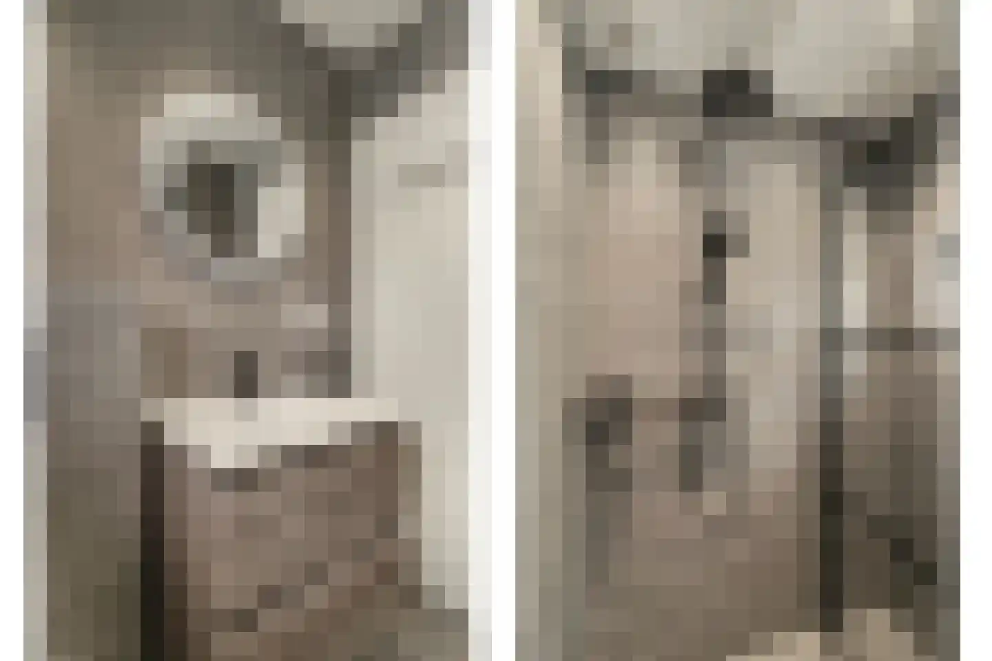 Irenelaan 3 Bladel thumbnail 31
