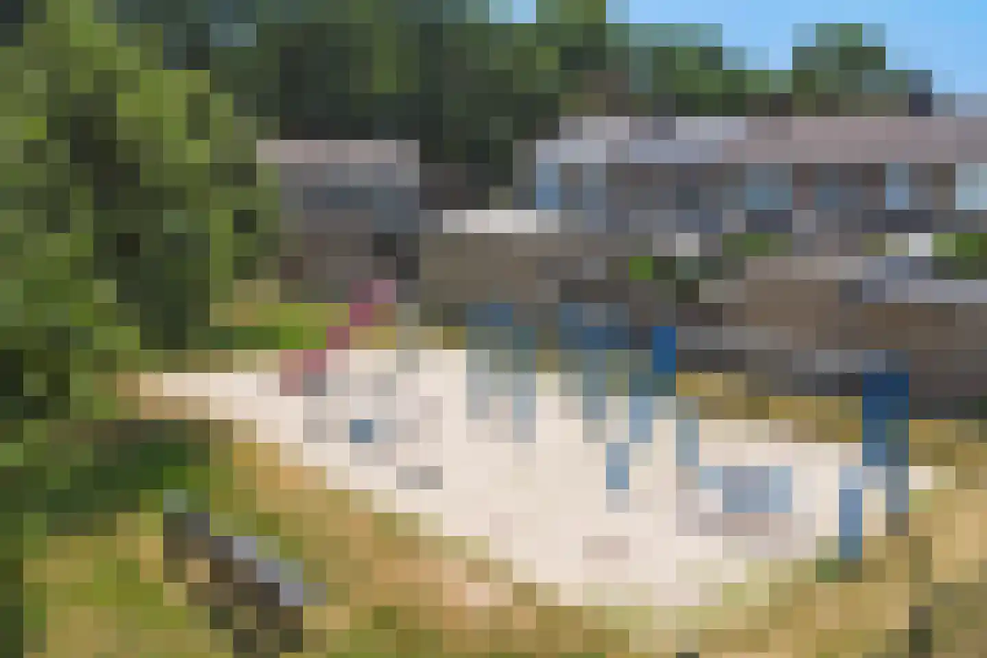 Irenelaan 3 Bladel thumbnail 43