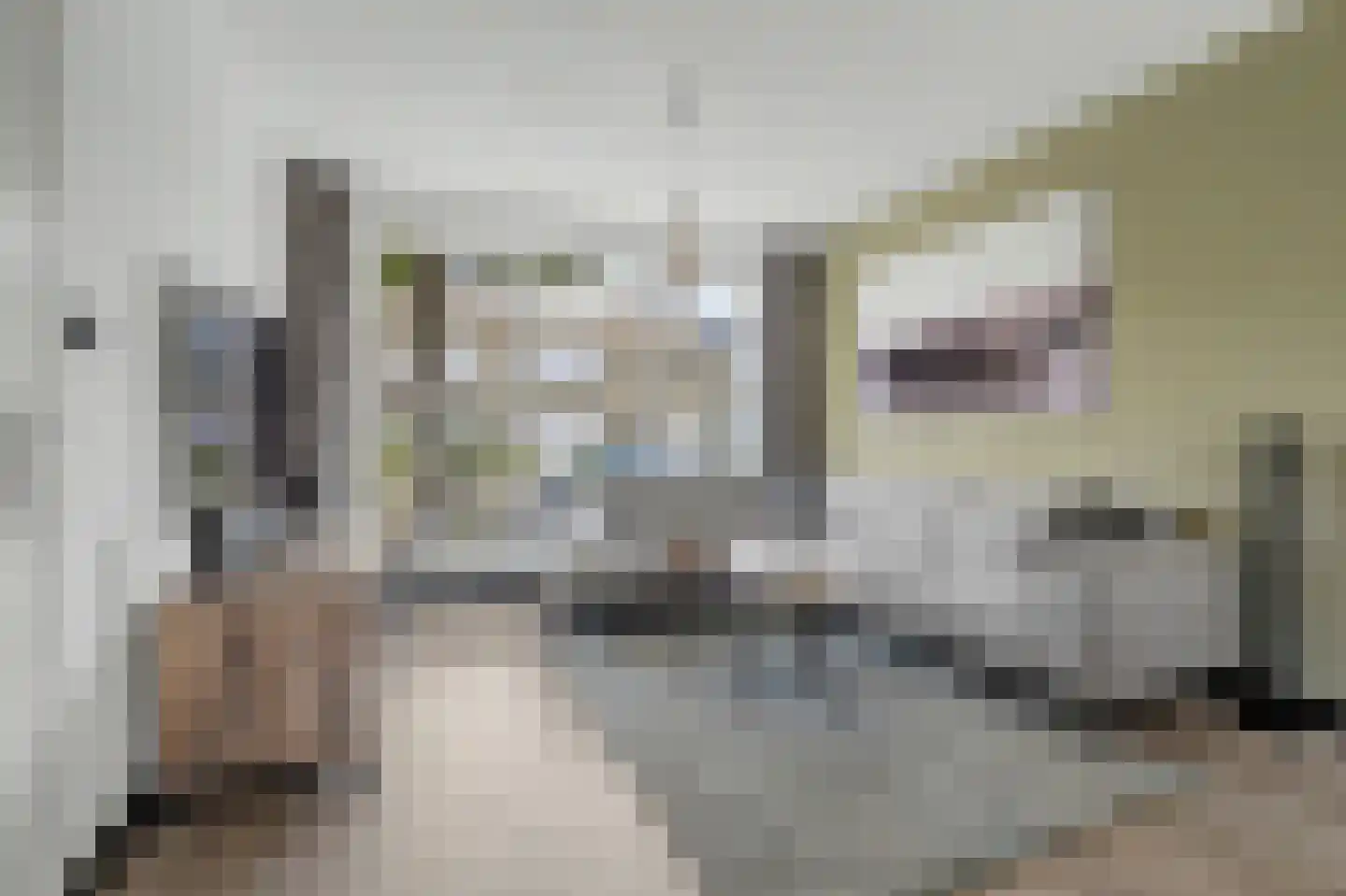 Irenelaan 3 Bladel thumbnail 8