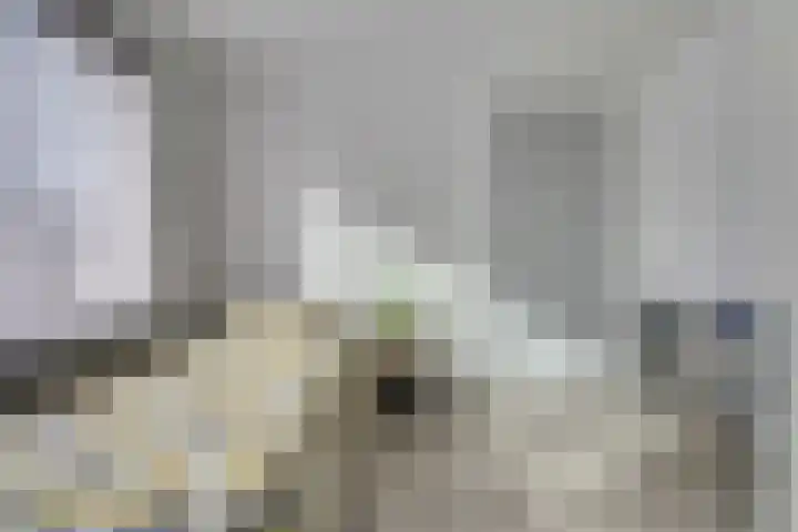 Irenelaan 30 Vlijmen thumbnail 21