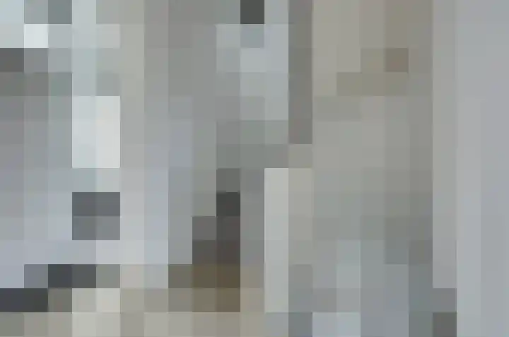 Irenelaan 30 Vlijmen thumbnail 25