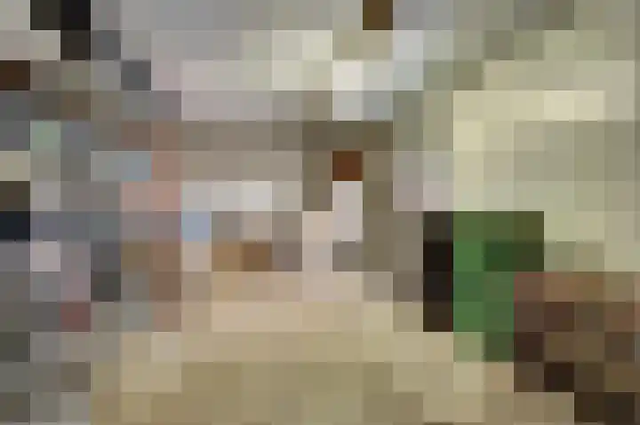 Irenelaan 30 Vlijmen thumbnail 37