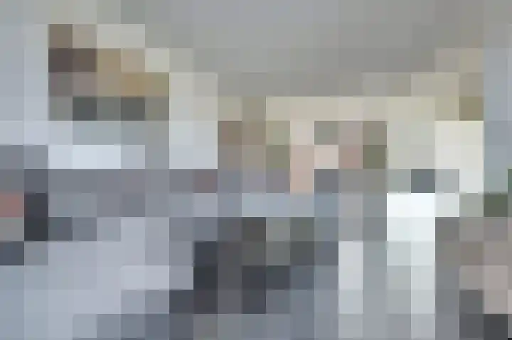 Irenelaan 30 Vlijmen thumbnail 4