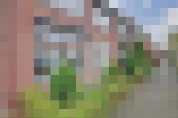 Irenelaan 30 Vlijmen thumbnail 40