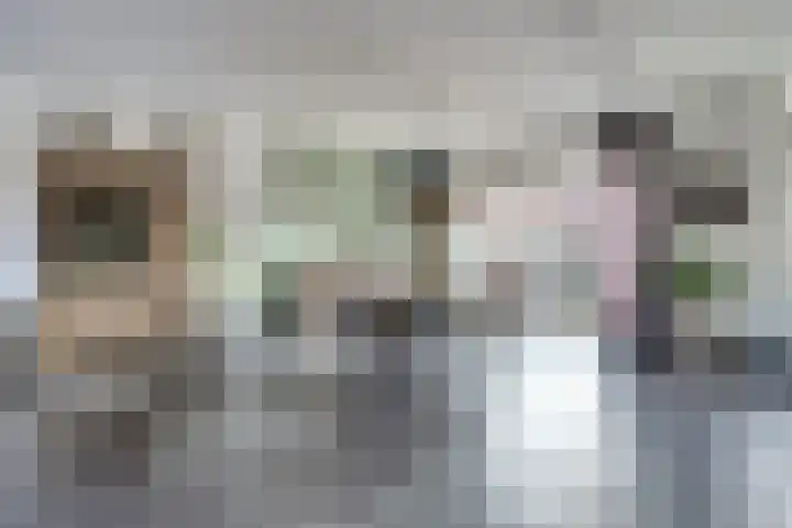 Irenelaan 30 Vlijmen thumbnail 8