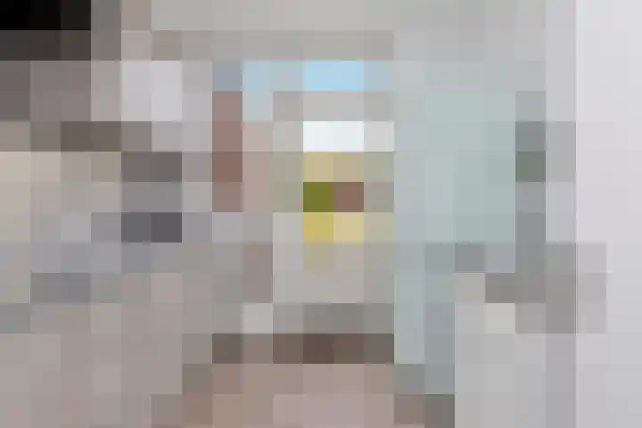 Irenelaan 31 Bladel thumbnail 13