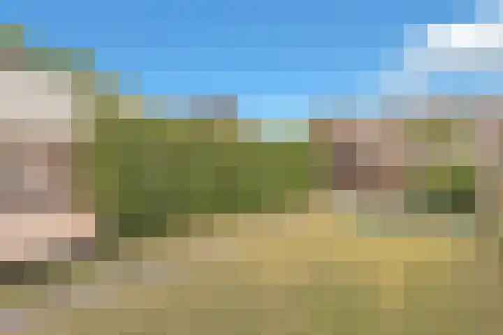 Irenelaan 31 Bladel thumbnail 32