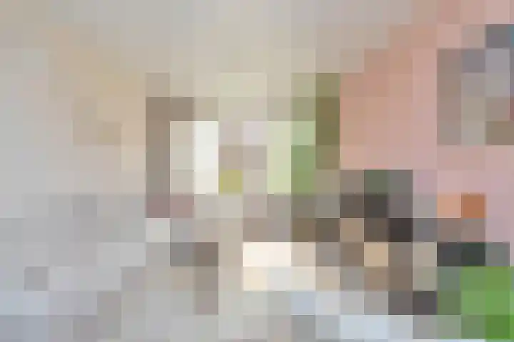 Irenelaan 31 Bladel thumbnail 5