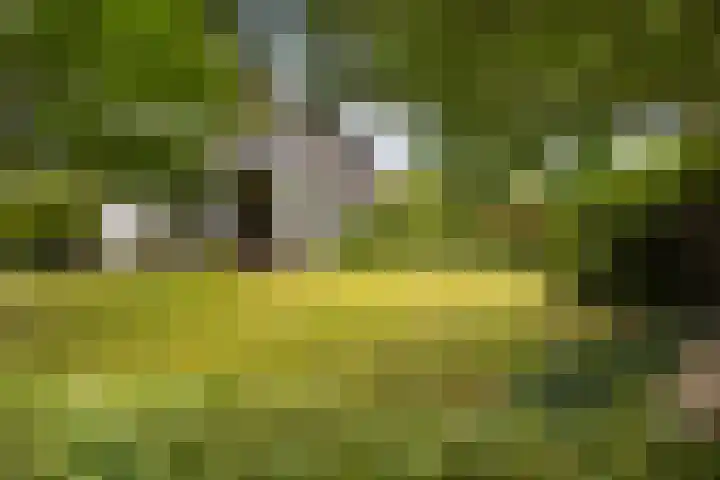 Irenelaan 31 Sittard thumbnail 26