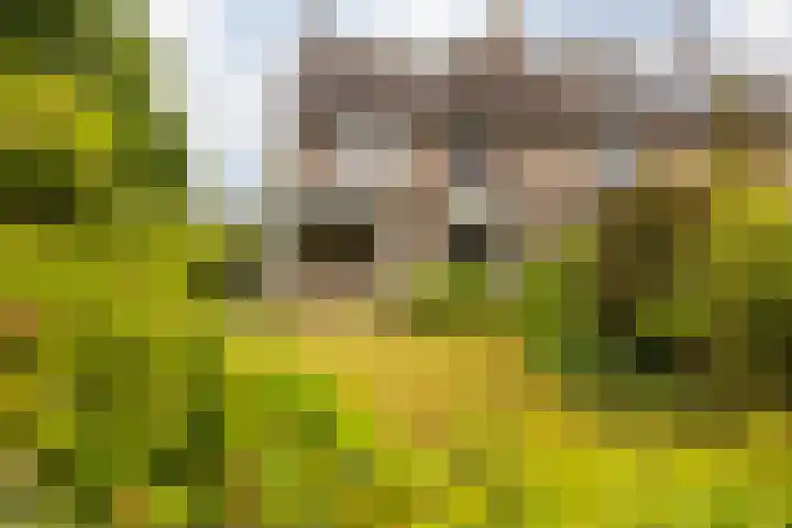 Irenelaan 31 Sittard thumbnail 6