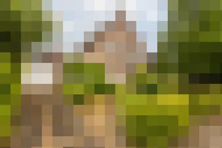 Irenelaan 31 Sittard thumbnail 7