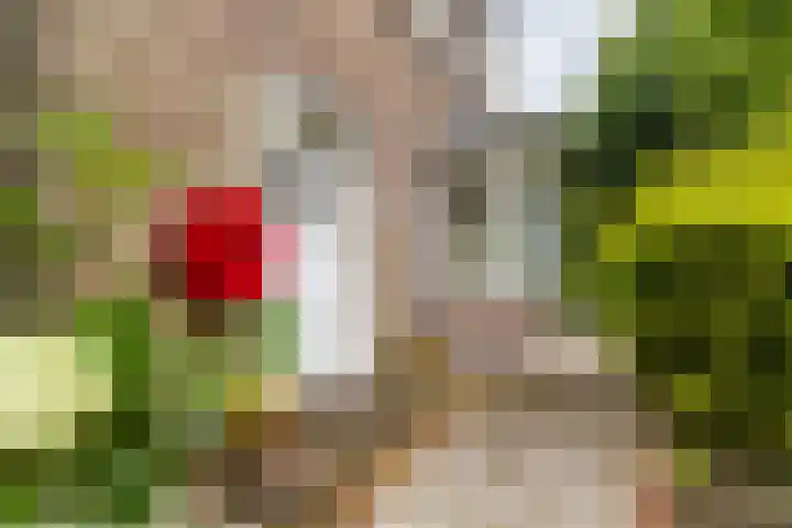 Irenelaan 31 Sittard thumbnail 9