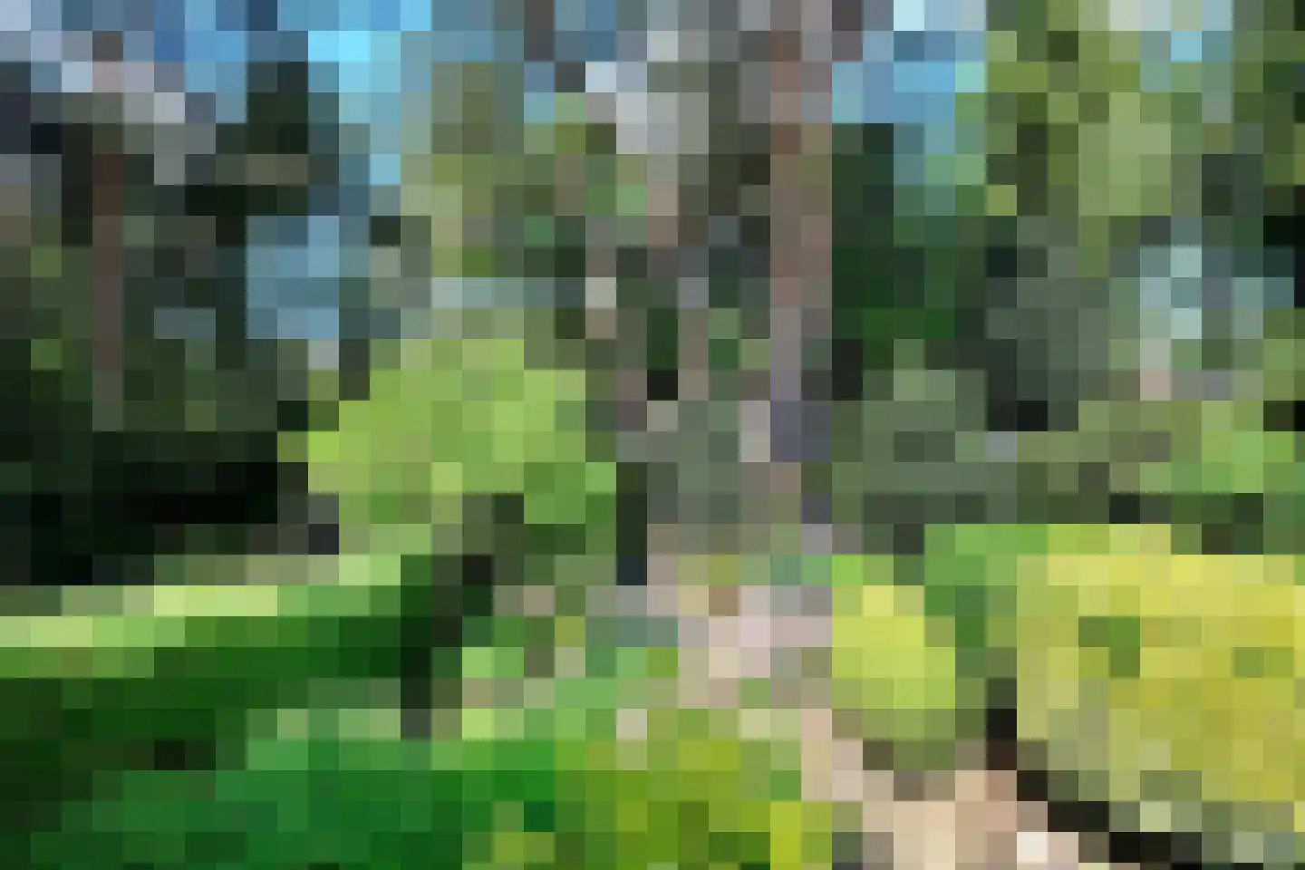 Irenelaan 38 Ede thumbnail 31