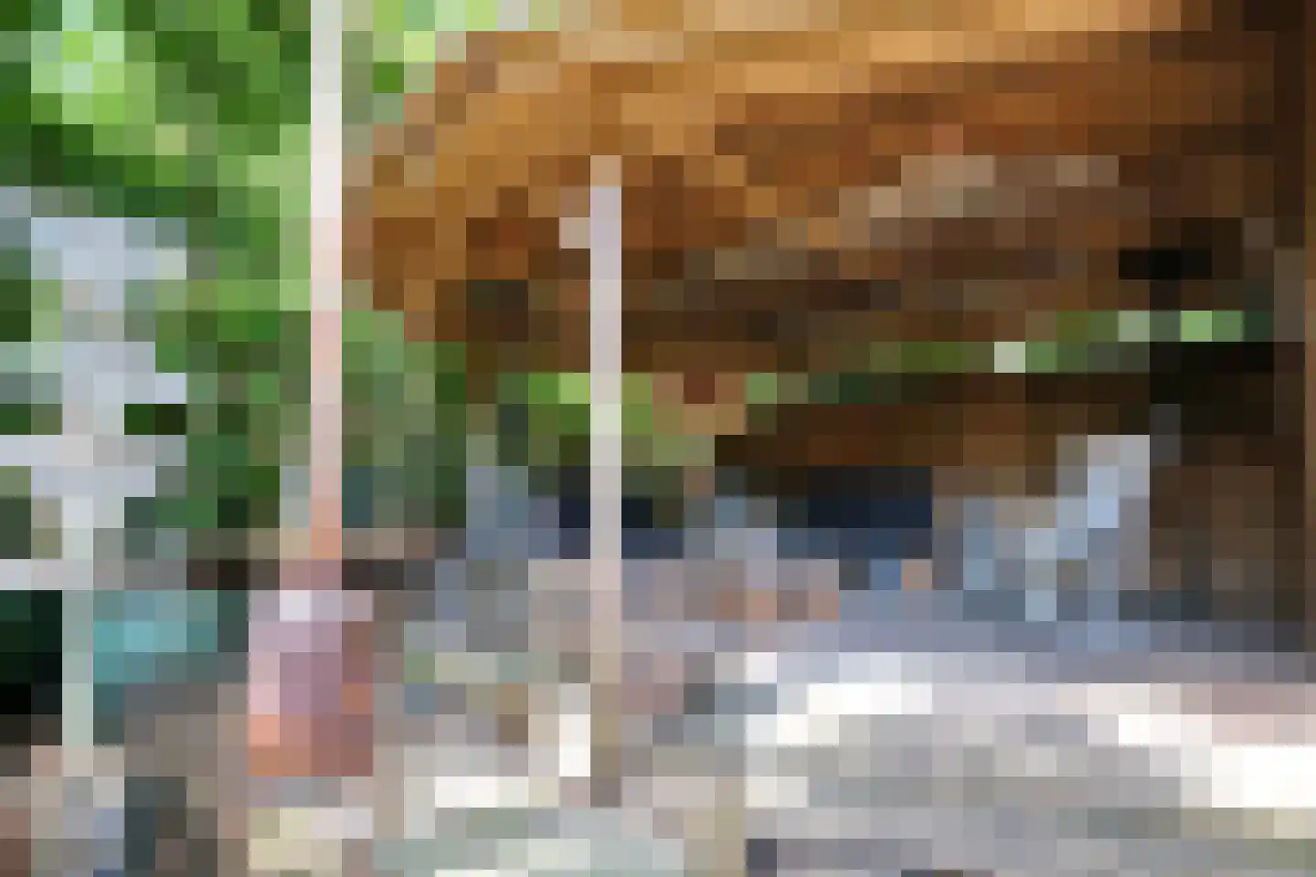 Irenelaan 38 Ede thumbnail 34