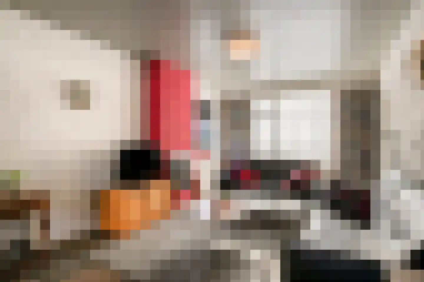 Irenelaan 38 Oss thumbnail 11