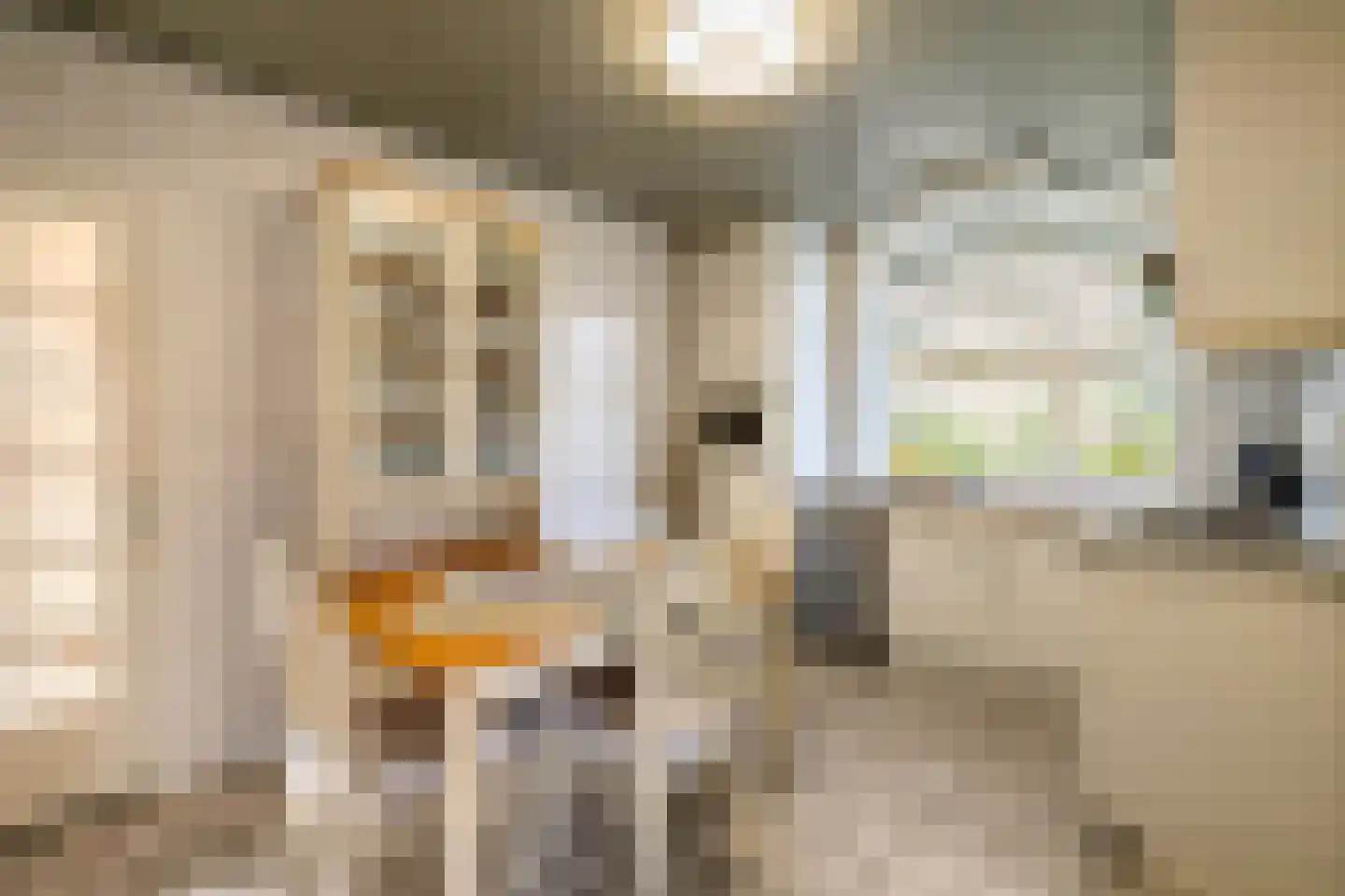 Irenelaan 38 Oss thumbnail 18