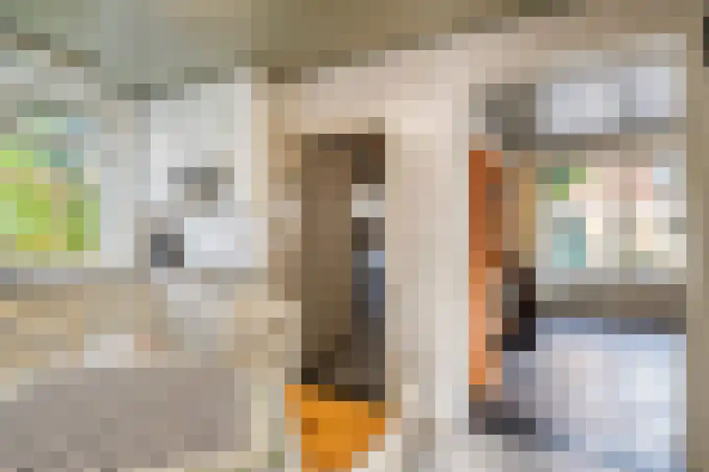 Irenelaan 38 Oss thumbnail 19