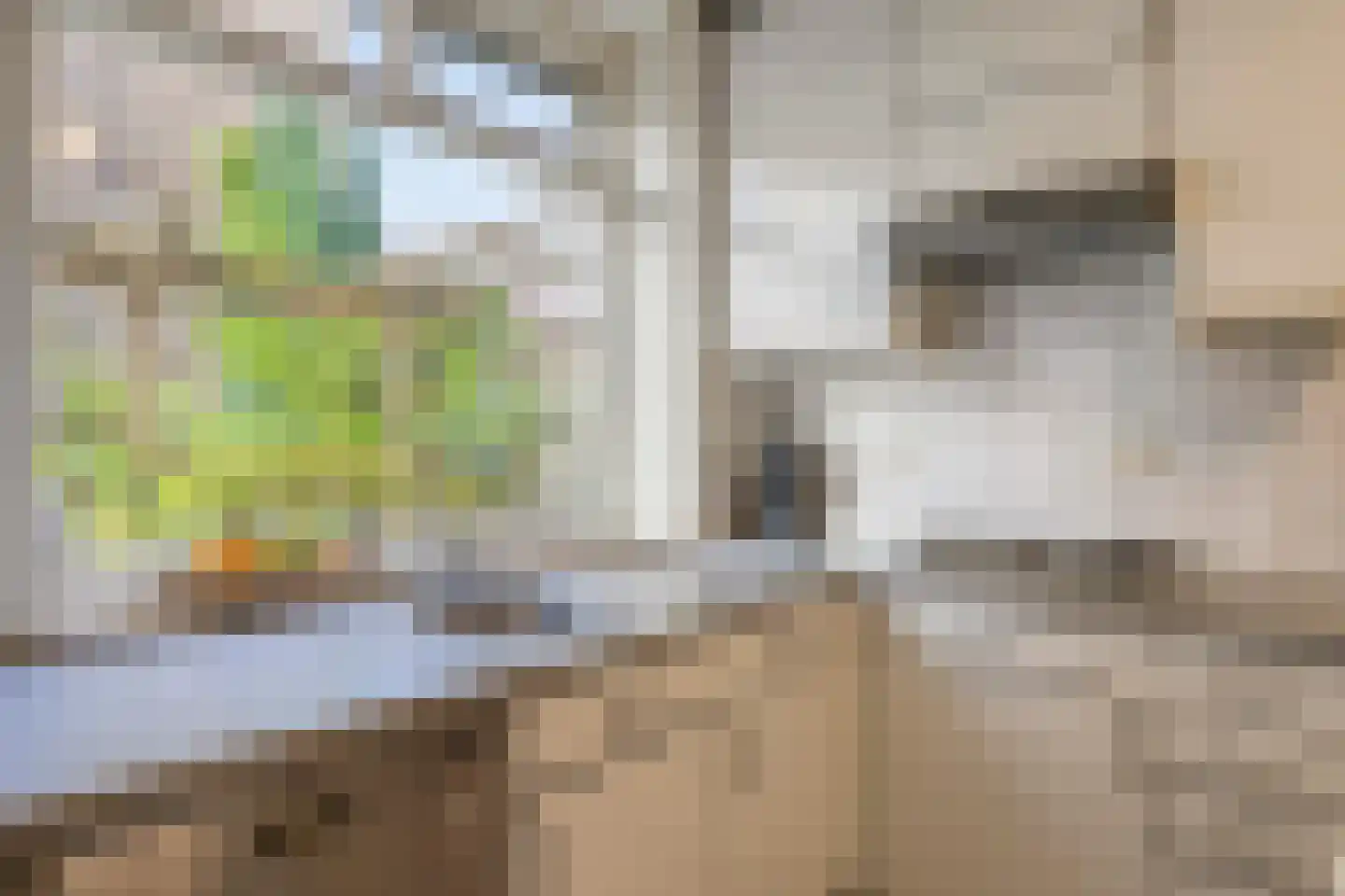 Irenelaan 38 Oss thumbnail 20