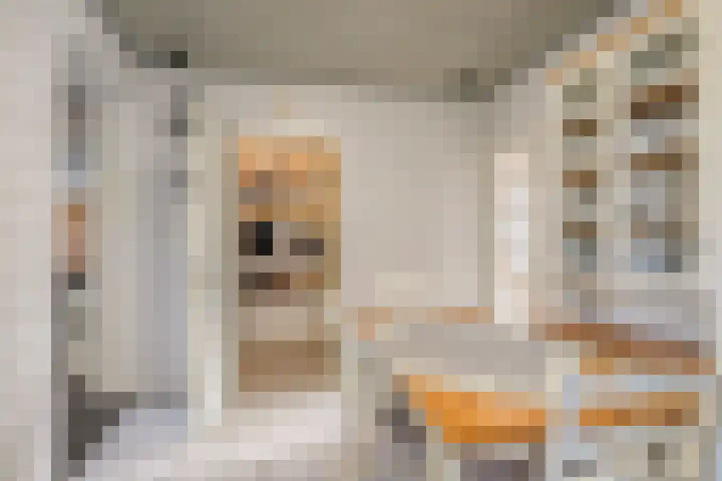 Irenelaan 38 Oss thumbnail 21