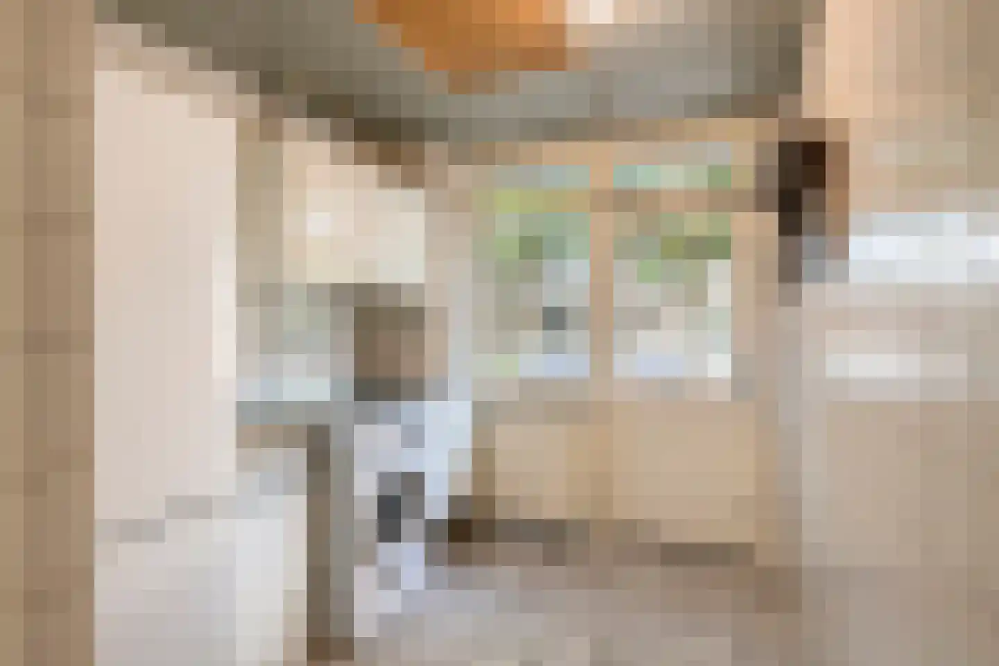 Irenelaan 38 Oss thumbnail 23