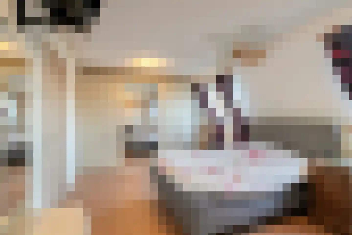 Irenelaan 38 Oss thumbnail 29
