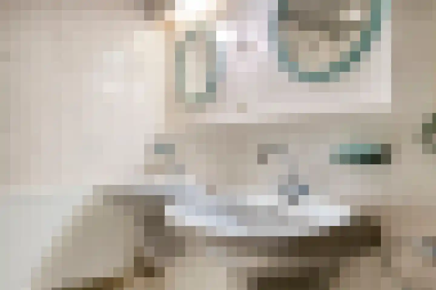 Irenelaan 38 Oss thumbnail 39