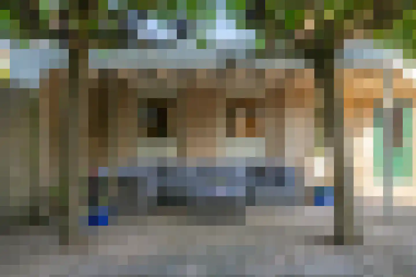 Irenelaan 38 Oss thumbnail 42