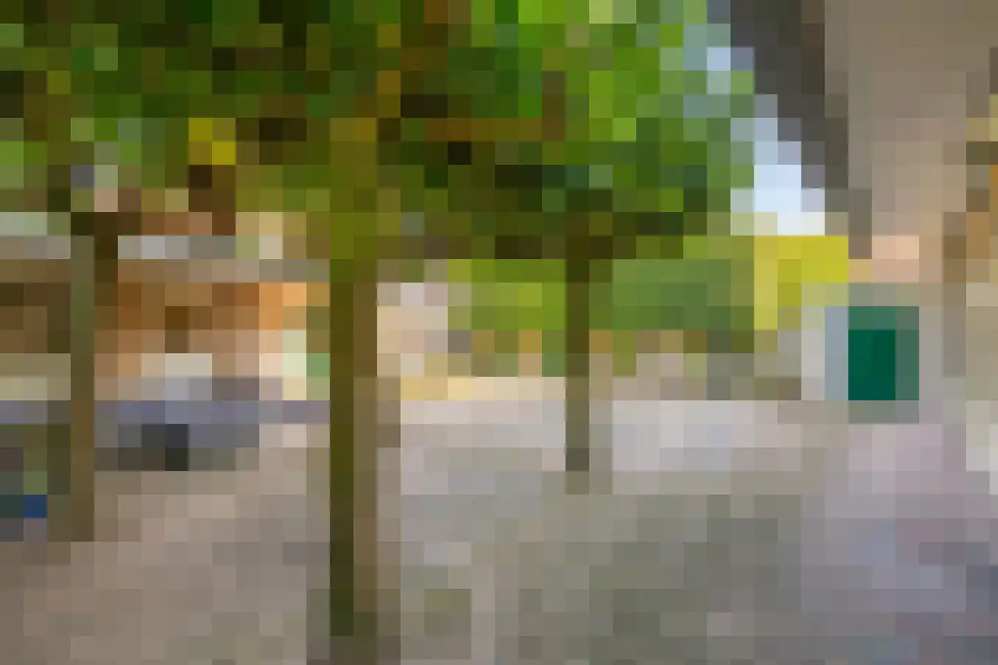 Irenelaan 38 Oss thumbnail 43
